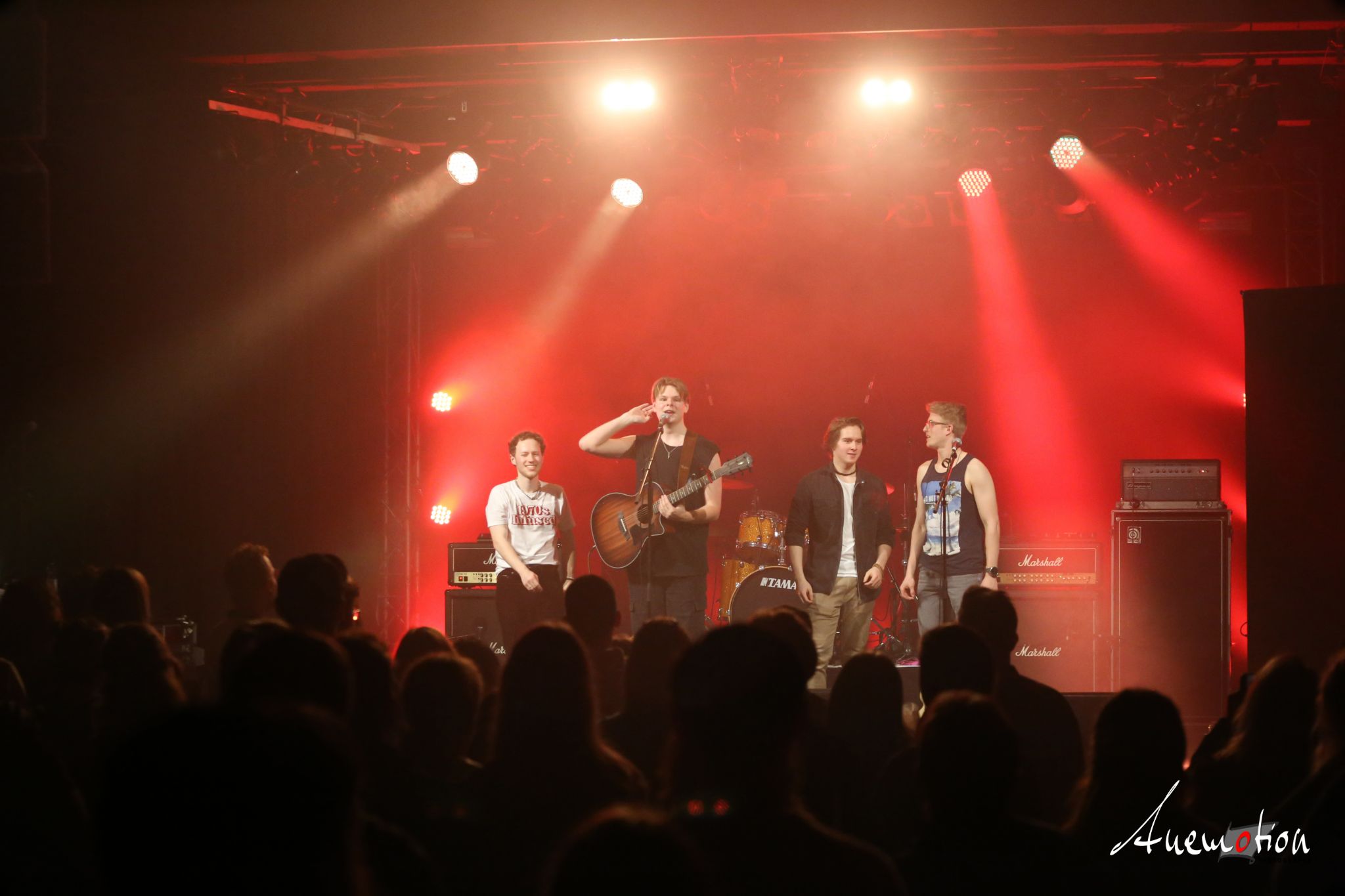 ElephantsFalling (47)